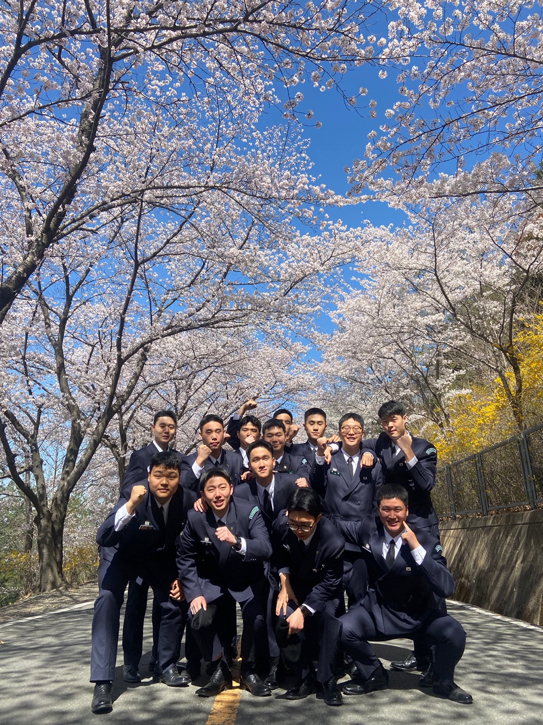 23년 3월 학군사관 후보생들의 벚꽃 행사