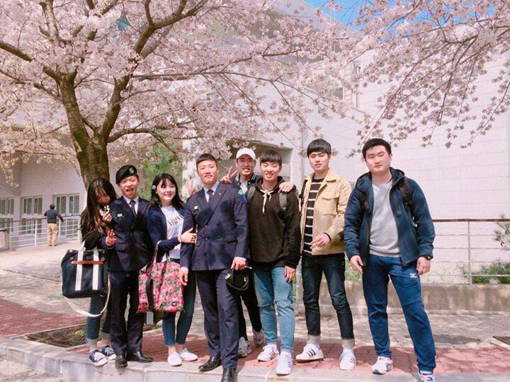 벚꽃사진 2017.04.04